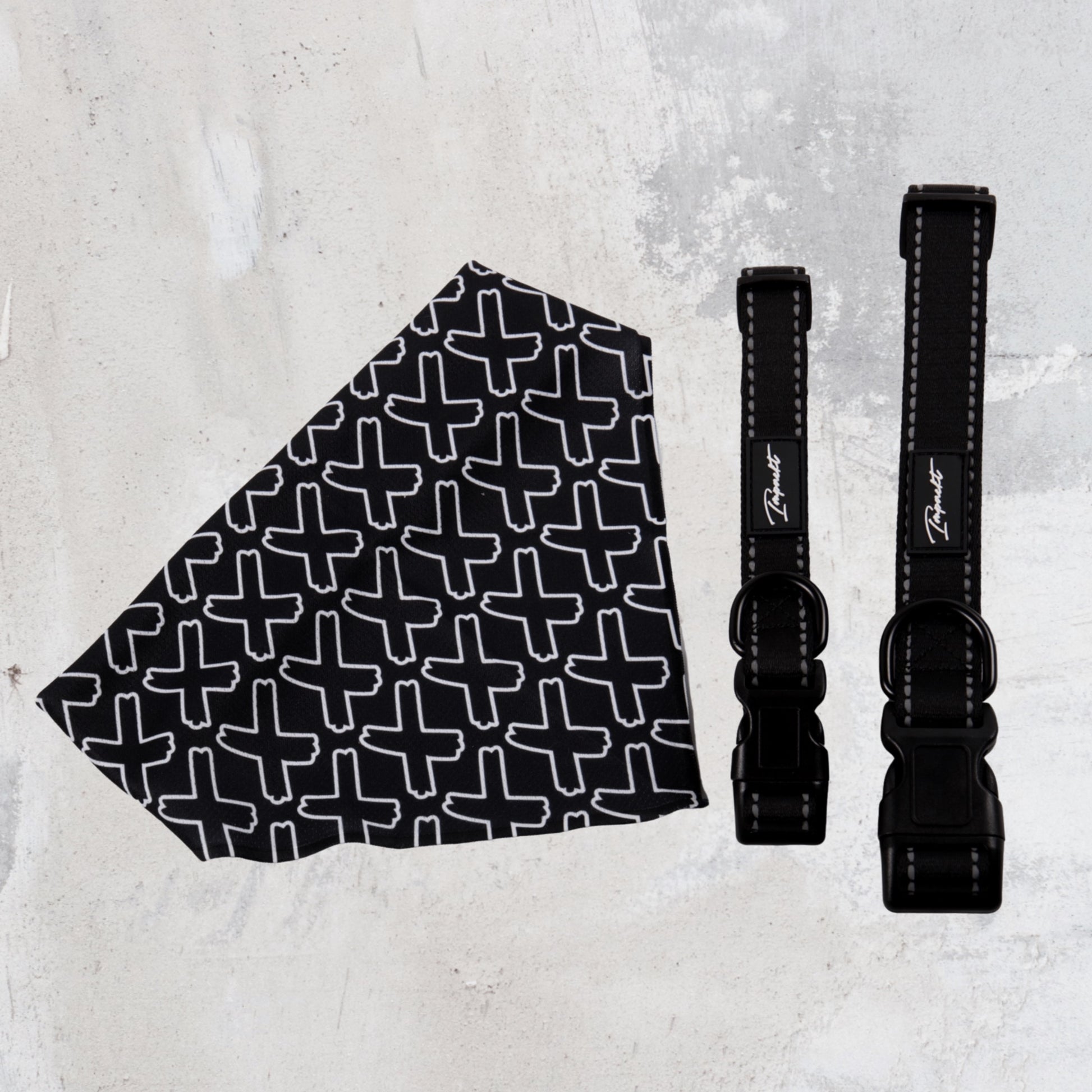 IMPACKT Pet Collar & Bandanna Bundle