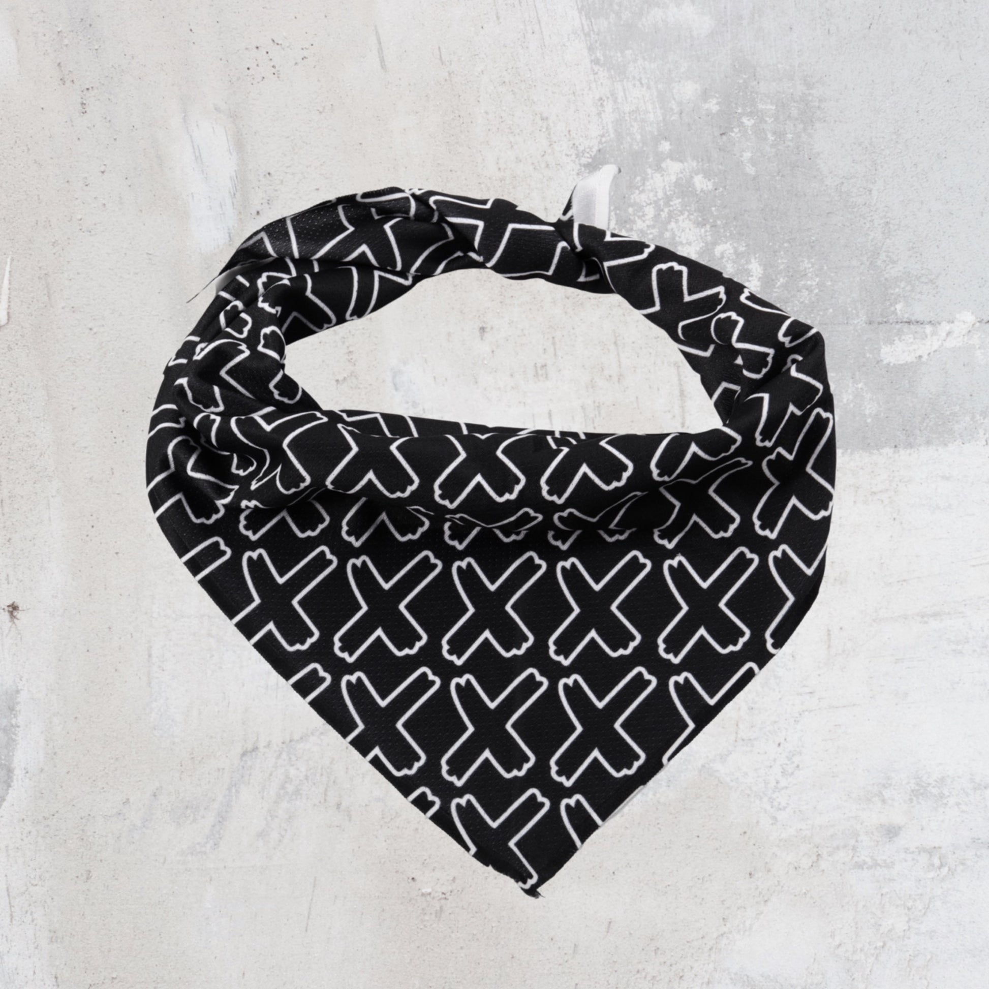 IMPACKT Pet Collar & Bandanna Bundle