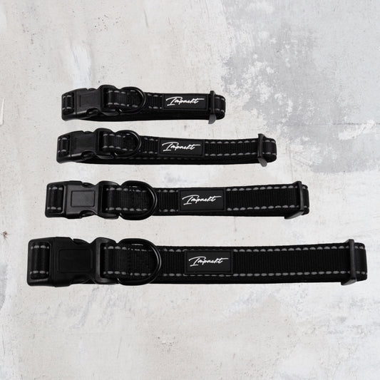 IMPACKT Pet Collar & Bandanna Bundle